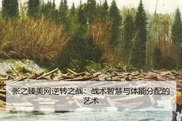 zhang-zhi-zhen-mei-wang-ni-zhuan-zhi-zhan-zhan-shu-zhi-hui-yu-ti-neng-fen-pei-de-yi-shu-3-355.jpg
