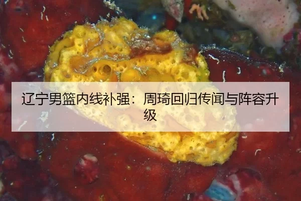 liao-ning-nan-lan-nei-xian-bu-qiang-zhou-qi-hui-gui-chuan-wen-yu-zhen-rong-sheng-ji-3-445.jpg